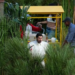 Bad Bunny Meme Template