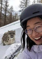 leopard Meme Template