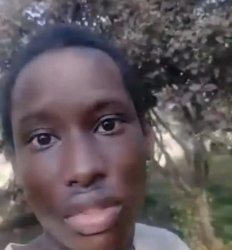 Memusi Meme Template