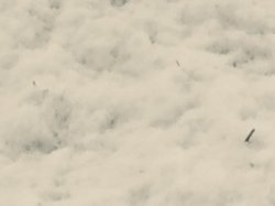 Snow Mirror Image Mode Meme Template