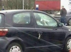 Chrisjoines1 Meme Template