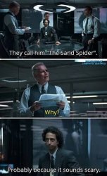 True Lies Sand Spider Meme Template