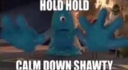 hold hold calm down shawty Meme Template