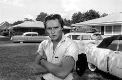 Walken Meme Template