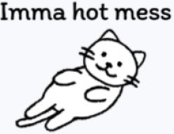 Imma hot mess meme Meme Template