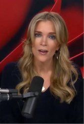 Megyn Kelly Meme Template
