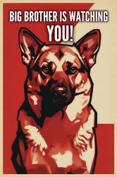 Ring camera Meme Template