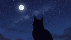 dafuq for Meme Template