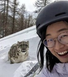 Asian Leopard Savage Fact Meme Template