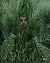 Super Bowl Bush Meme Template