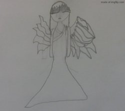 touhou dragnoc (drawn by dragnoc) Meme Template