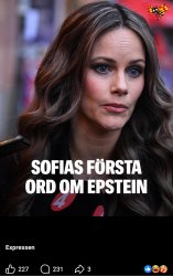 Prinsessan Sofia Jeffrey Epstein Pedofil Dumpen Meme Template