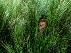 Grass people Meme Template