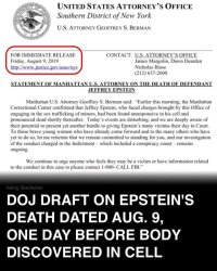 Jeff Epstein death certificate Meme Template