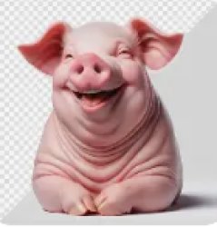 shakeel Meme Template