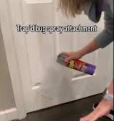 Roach spray Meme Template