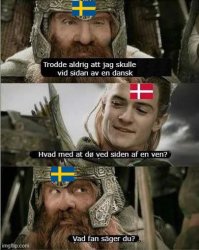 Svensk och dansk konversation Meme Template