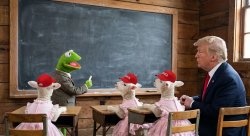 MUPPET SCHOOL Meme Template