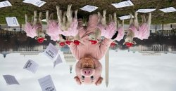 EPSTEIN EPSTEIN EPSTEIN Meme Template