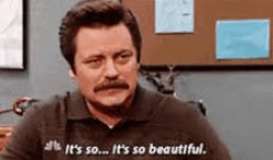 ron swanson its so beautiful Meme Template