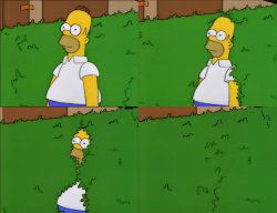 homer bush missed Meme Template