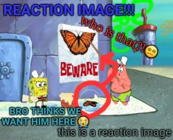 bro thinks we want him here Meme Template