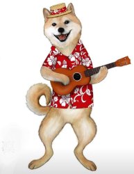 Shiba inu qui joue à la guitare Meme Template