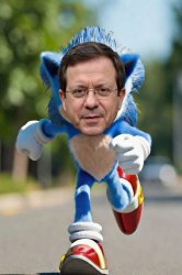 Sonic The Herzog Meme Template