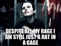 Smashing pumpkins rat in a cage alt rock Meme Template
