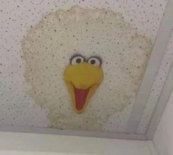 Chrisjoines1 Meme Template