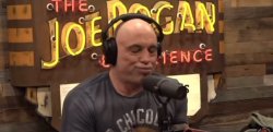 Regrettable Rogan Meme Template