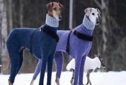 Chrisjoines1 Meme Template