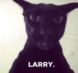 LARRY Meme Template