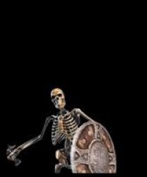 banging skeloten Meme Template