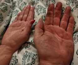 Gender Meme Template