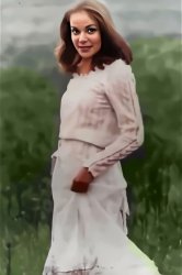 dpearldp.com 3 Meme Template