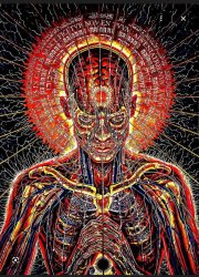 without judgement Meme Template