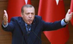 Turkey Meme Template