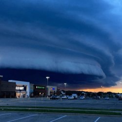 Nemene Meme Template