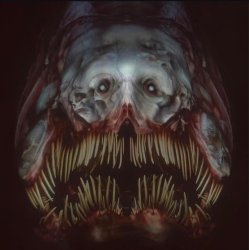 iron lung fish Meme Template