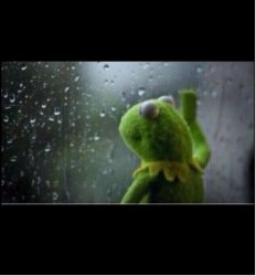 Kermit Rainy Day Meme Template