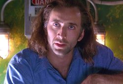 Bunny Box Meme Template