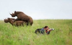 Whatsapp Meme Template