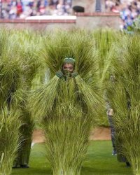 grass people Meme Template