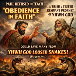 Paul REFUSED to teach (OBEDIENCE IN FAITH) to a TRIED & TESTED r Meme Template