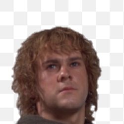 Merry Brandibuck Meme Template