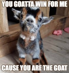 Goat Meme Template