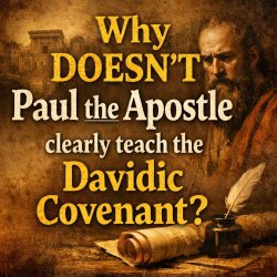 Why DOESN’T Paul the Apostle, clearly teach the Davidic covenant Meme Template