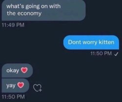 Don't worry kitten Meme Template