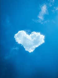 el paso valentines Meme Template